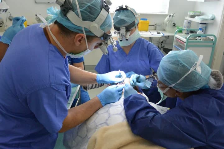 Hair Transplant Cost – What You’re Paying For