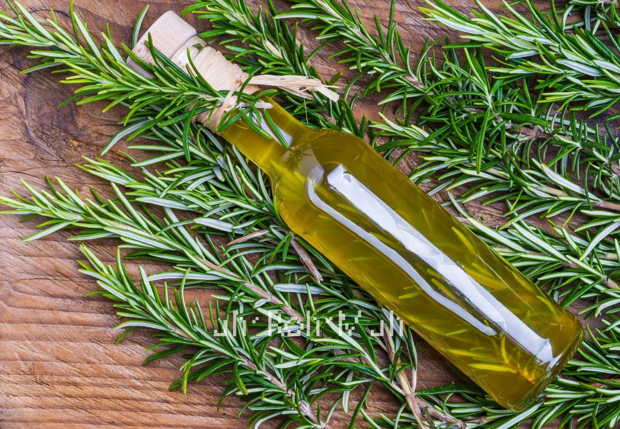 Rosemary Oil