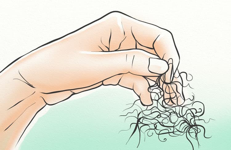 Men Fear Hair Loss More Than Snakes and Spiders